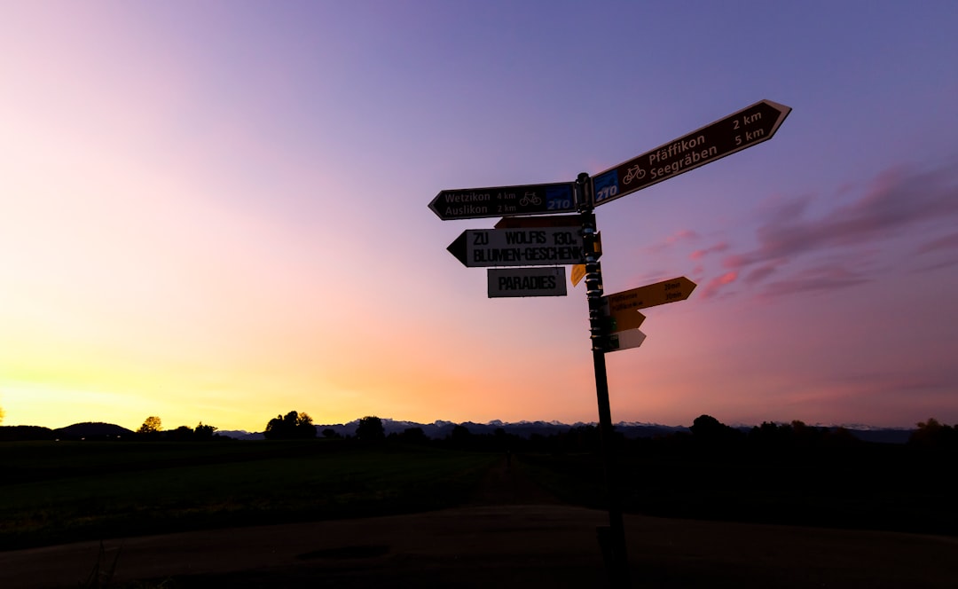 gallery-02 Silhouette of a signpost